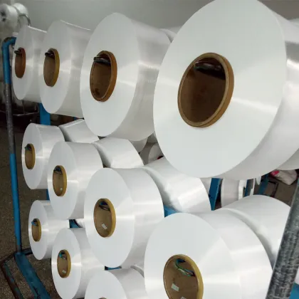 High Elasticity FDY Polyester Yarn T400 100D/34F - Dupont Sorona