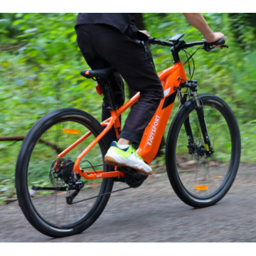 Customized Mountain Ebike Pedal Assist