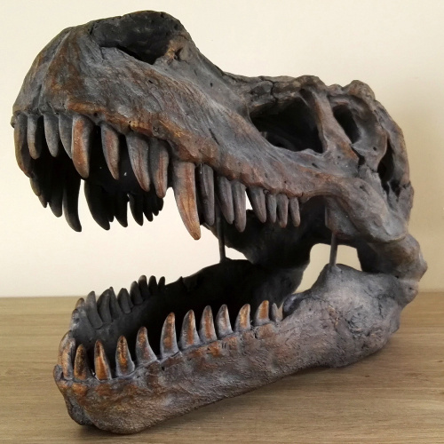 Life Size t Rex Skull Replica for Sale
