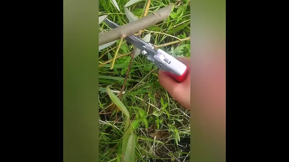 2022 new Garden scissors Garden tool  Fruit Pruners Pruning Shears