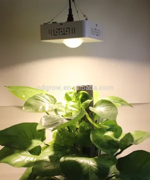 Full Spectrum grow light led, 100w led grow light with CXB3590 chips