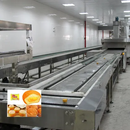 Full Automatic Madeleine Cake Production Line | Jaffa Cake Production Line