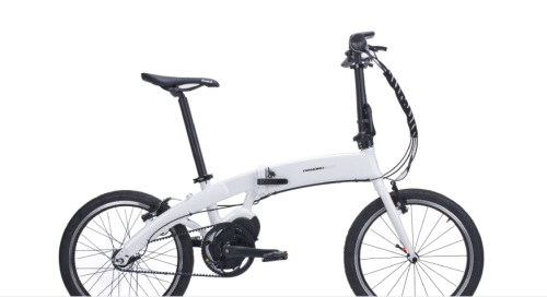 Bici elettrica pieghevole da 20 pollici 250W 36V 9AH