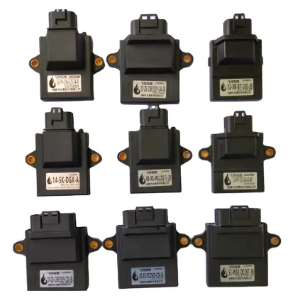 Motorcycle EFI System National IV ECU and Igniter