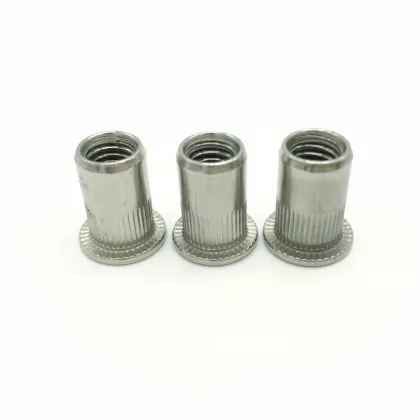 304 Stainless Steel Pull Rivet Nuts: Vertical Rivet Nuts with Flat Head