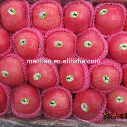 Fresh Fruit mainly fuji apple from china