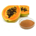 100% natural Dry Papaya Seed Juice Extract