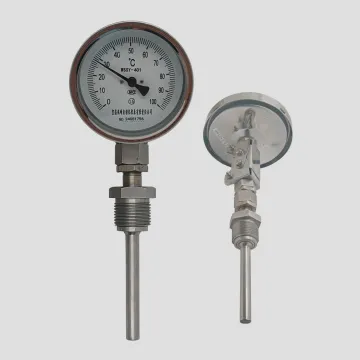Customization Stainless Steel Temperature Gauge 100mm Dial