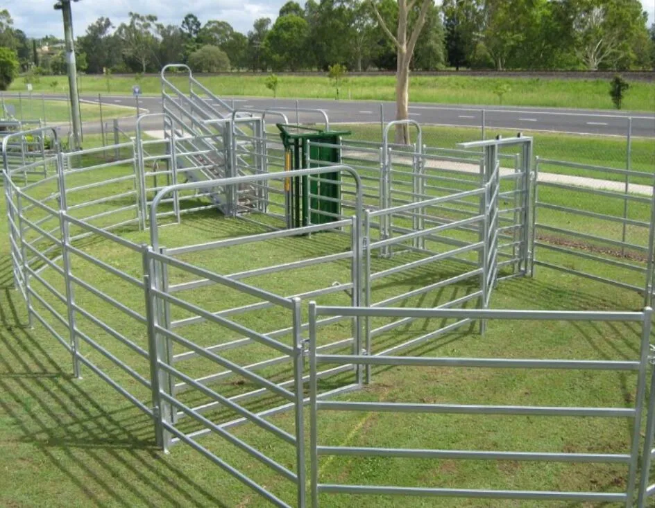 Australia Galvanized Livestock Sheep Yard Panel Sale