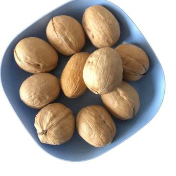 Wholesale Cheap Walnuts Paper Shell Walnuts Washed Walnuts