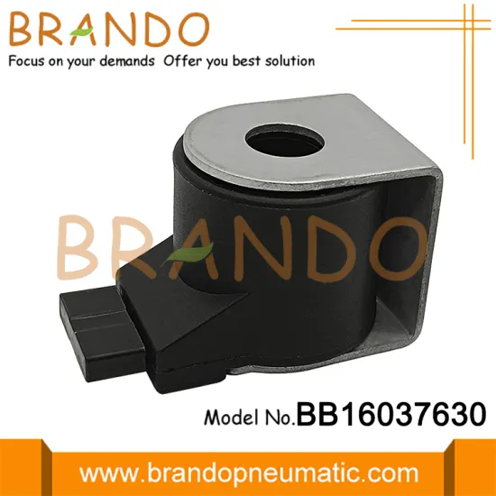 TOMASETTO Type Solenoid Coil Accessories CNG Reducer At12 At04 At98