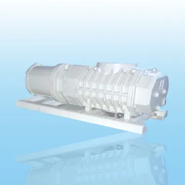 PR Series Roots Vacuum Pump