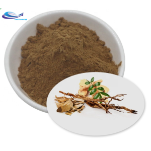 Wholesale Bulk Powder Tongkat Ali Root Extract 200:1