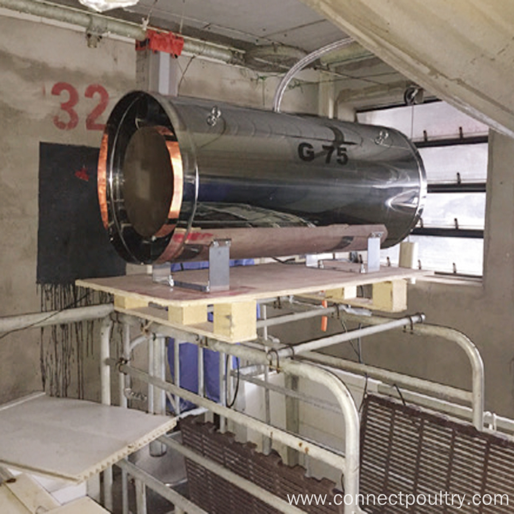 Compact Chicken Processing Line