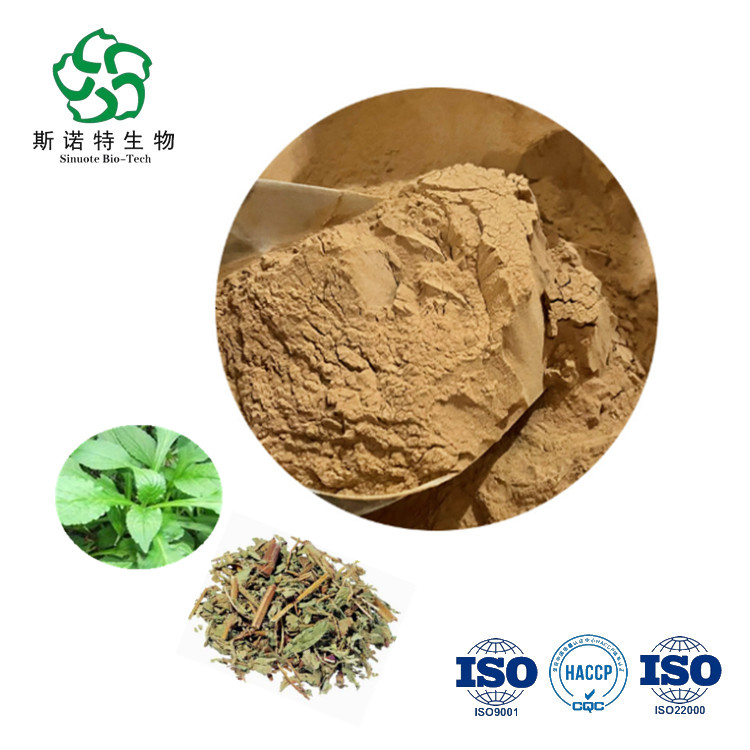 중국 화이트 플라워 Patrinia Herb Extract 10 : 1