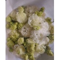 পাইকারি ডাবল Lisianthus সাদা তরঙ্গ প্রিমিয়াম কাট ফুল