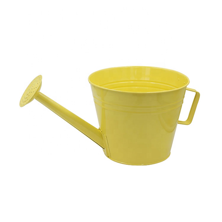 Detachable sprinkler look galvanized metal pot