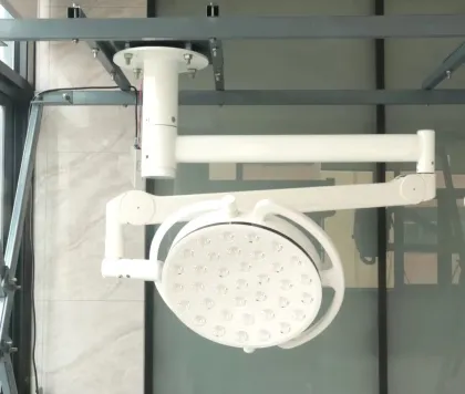 Animal Shadowless Cold Light Medical Luxury Operation Room