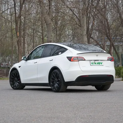 2023 Tesla Model Y: Large Space Electric SUV in China