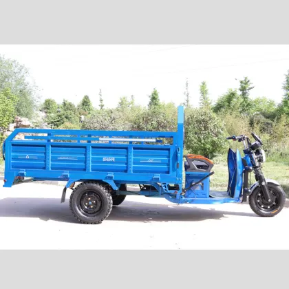 Electric Cargo Tricycle Cargo Electric Trike