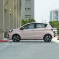 Changan BenBen E-STAR 2023 Model Multi-Color