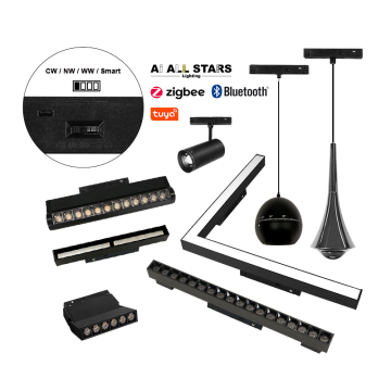 Akıllı Çevirmeli Değiştirilebilir LED İzleme Nokta Işıkları - Yeni Modeller 6W 12W 18W 24W Cob Cob Manyetik Track Işık