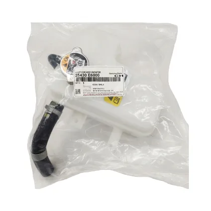 High-Quality Reservoir Assy-Radiator 25430-E6000 for Hyundai Kia