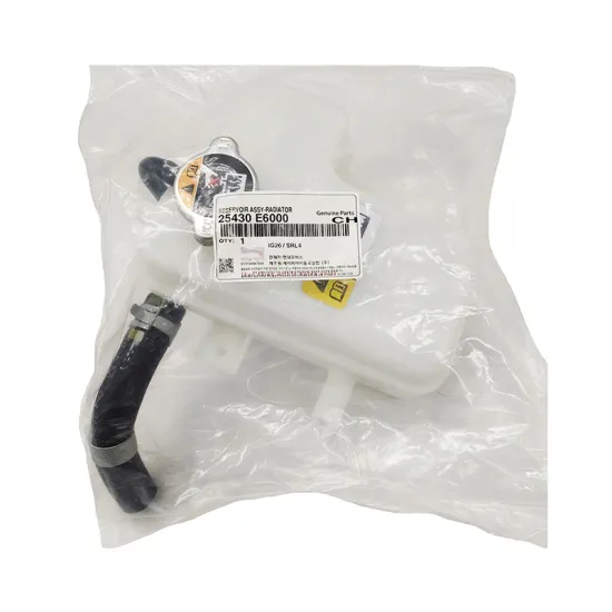 High-Quality Reservoir Assy-Radiator 25430-E6000 for Hyundai Kia