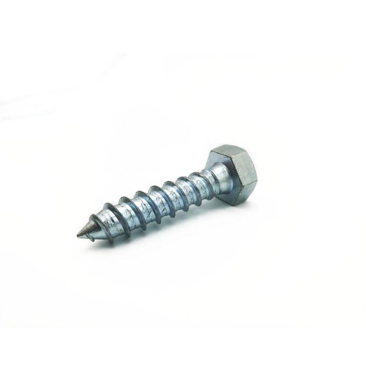 Carbon Steel Screws WZP