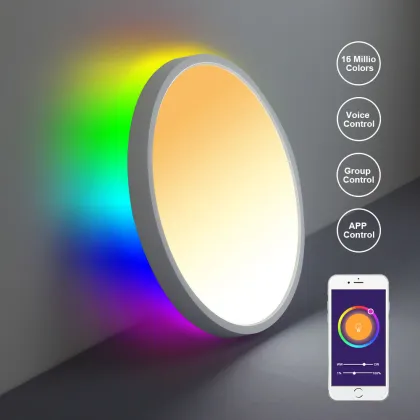 Google-Controlled Smart Home LED Lights for Interior Design and Ceiling Decor