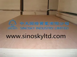 cheaper price commercial plywood and hardwood plywood