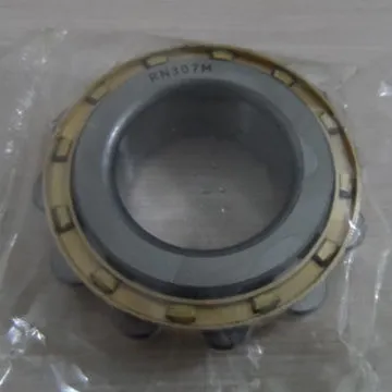 Cylindrical roller bearing without outer ring RN series