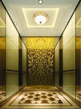 Machine Room Residential Elevator Capacity of 10-15 person