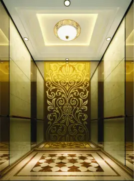 IFE JOYMORE-6 Passenger Elevator Machine Roomless Lift