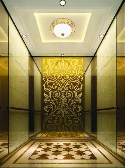 IFE JOYMORE-6 Passenger Elevator Machine Roomless Lift