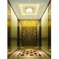 Machine Room Residential Elevator Capacity of 10-15 person