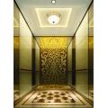 IFE Space Saving Home Elevator Price Competitive