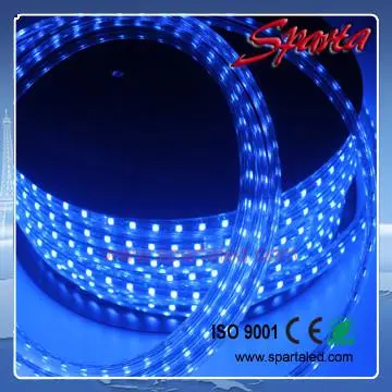 DC220V blue led strip lights 5050 epistar three chip