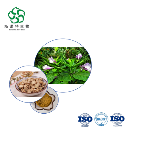 Bulk Radix Isatidis Extract Powder for Dietary Formulations