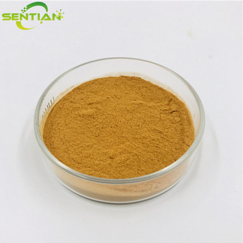 High-Quality Dandelion Extract Powder