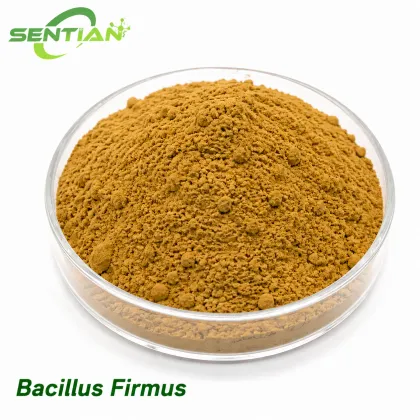 Bacillus Firmus Biological Nematicide Root Protection
