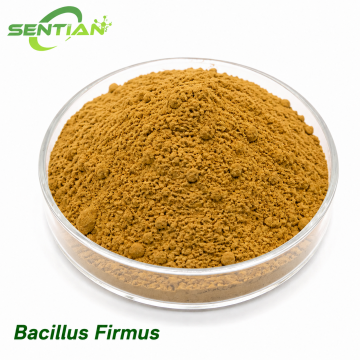Bacillus Firmus Biological Nematicide Root Protection