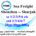 Agente de transporte de mercadorias de Shenzhen mar para Sharjah