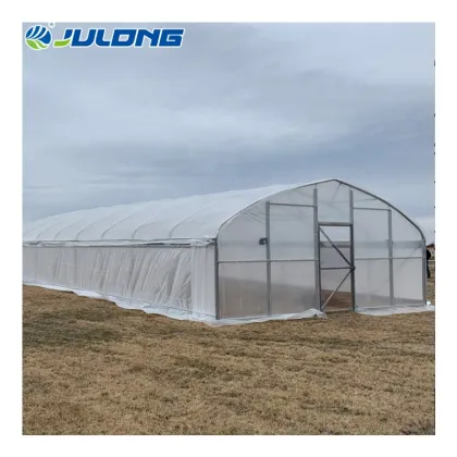 Hydroponics farm single-span agricultural greenhouse