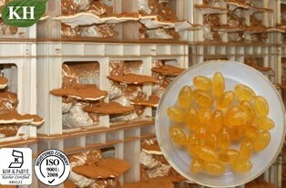 Natural Reishi mushroom spore oil&Softgels
