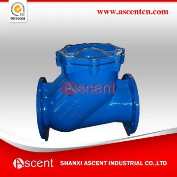 Ductile iron ball check valve