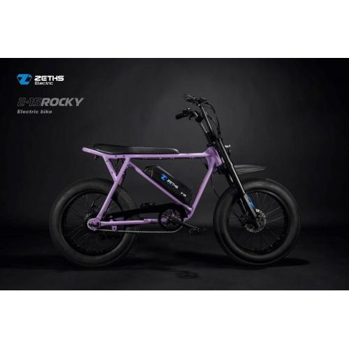 Electric Dirt Bike for Adults Electric bike motorbike Rocky Factory