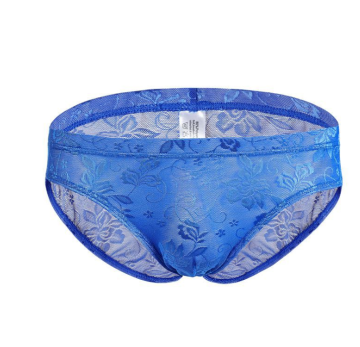 See Through Lace Men's Briefs - Sexy Underwear for Gay Underpants