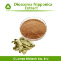 Dioscorea Nipponica Extraktpulver Diosgenin 98%Preis