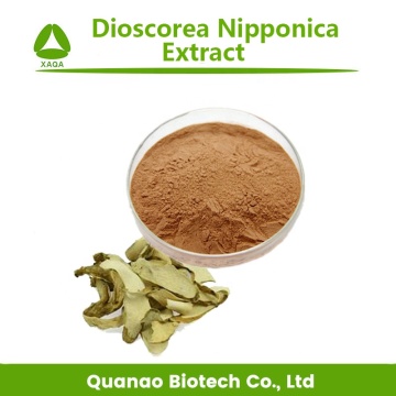 Dioscorea Nipponica Extract Powder Diosgenin 98%Price